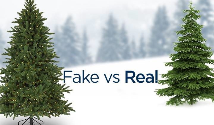 real-vs-fake