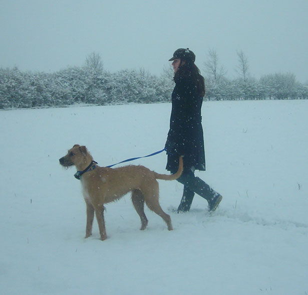 25 TIPS FOR WALKING YOUR DOG IN WINTER Blog 103.9 MAX FM