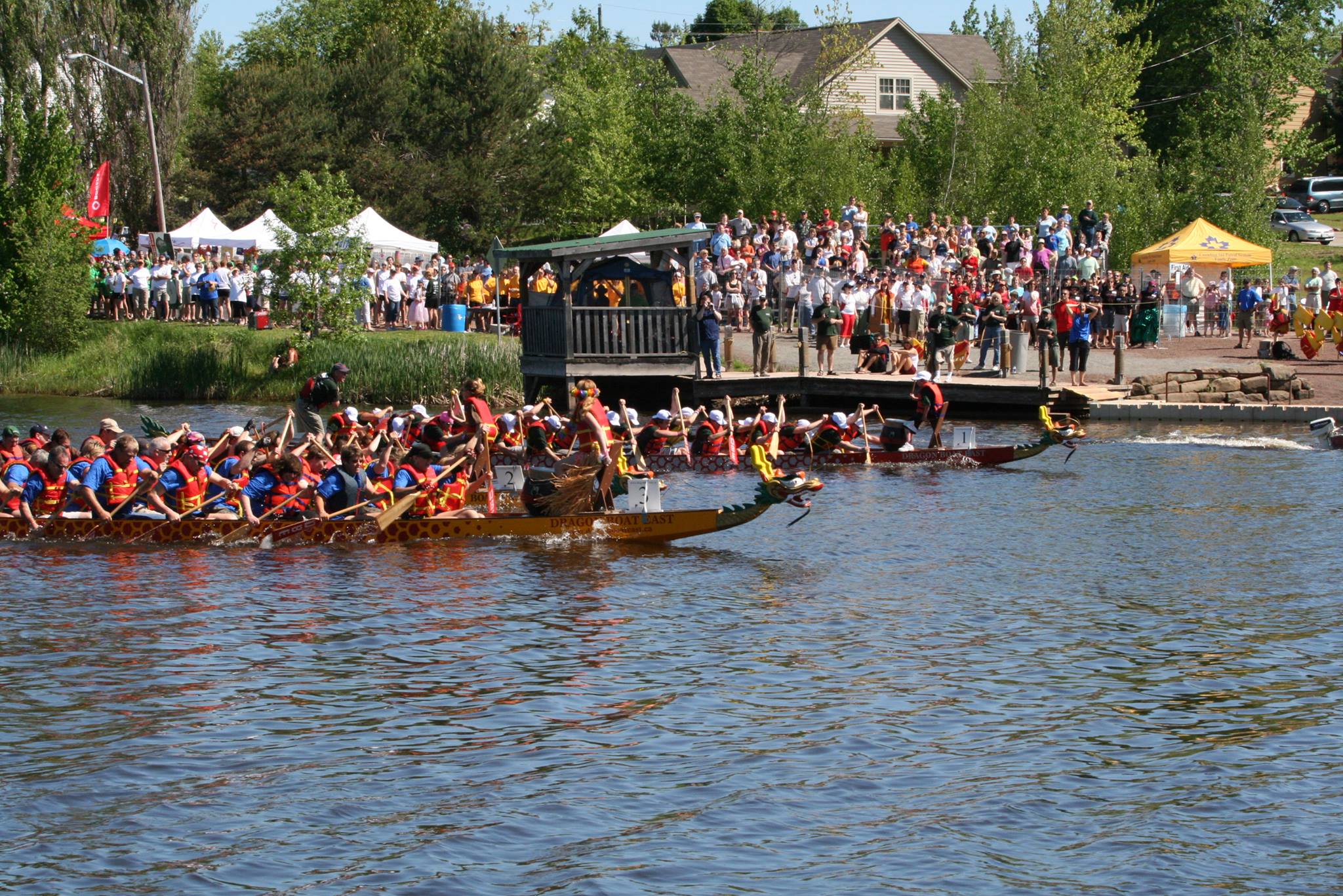 12th Annual Greater Moncton Dragon Boat Festival A Huge Success This ...