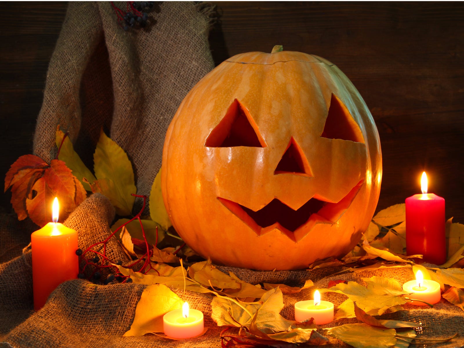Six amazing pumpkin-carving ideas that don't require much skill - Blog ...
